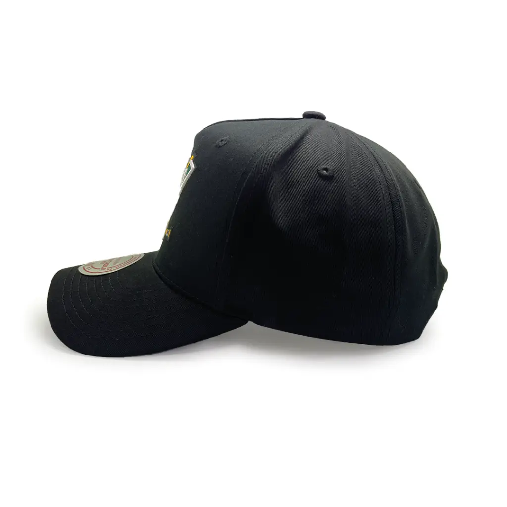 Mitchell & Ness Anaheim Ducks MVP Team Colour Logo Black OSFM_4227