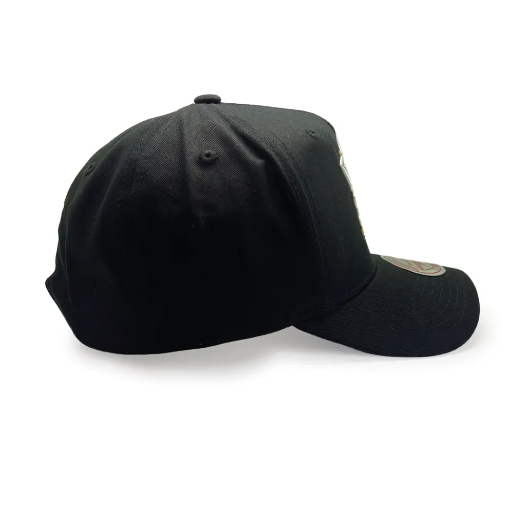 Mitchell & Ness Anaheim Ducks MVP Team Colour Logo Black OSFM_4229