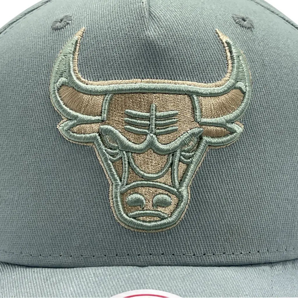 Mitchell & Ness Chicago Bulls Pro-Crown Seasonal Core Green OSFM_4876