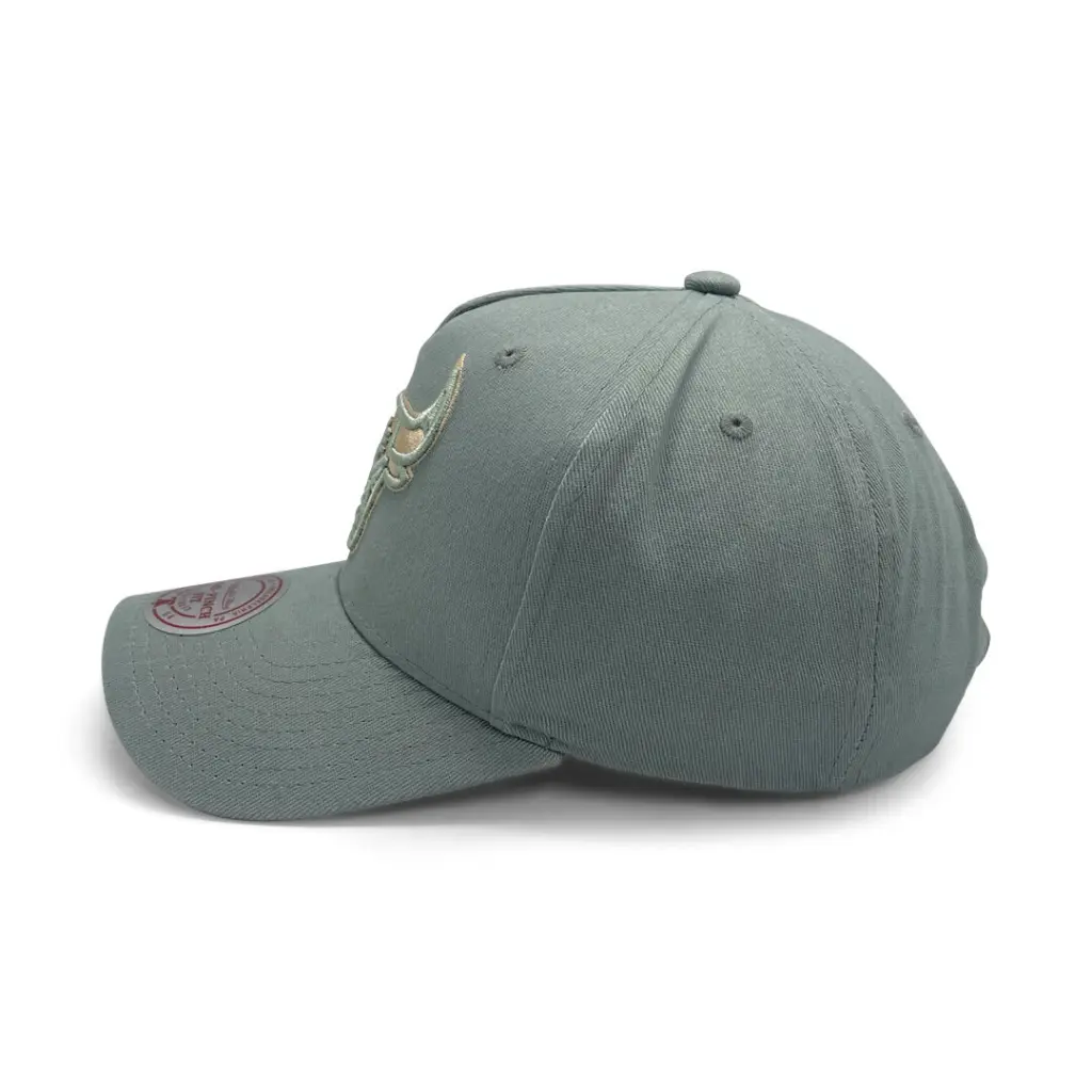 Mitchell & Ness Chicago Bulls Pro-Crown Seasonal Core Green OSFM_4877