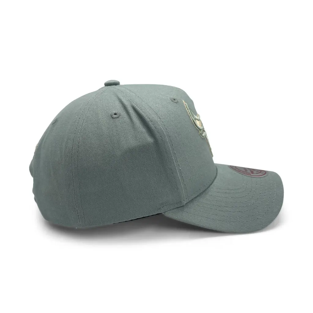 Mitchell & Ness Chicago Bulls Pro-Crown Seasonal Core Green OSFM_4878