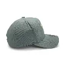 Mitchell & Ness Chicago Bulls Pro-Crown Seasonal Core Green OSFM_4878