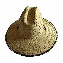 Anaconda Straw Hat_1870