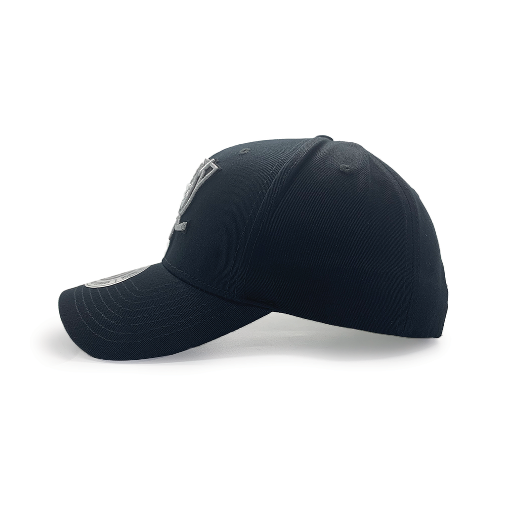 Mitchell & Ness - Mitchell & Ness Pro Crown Anaheim Ducks Chrome Logo NHL Black OSFM MJAN1242