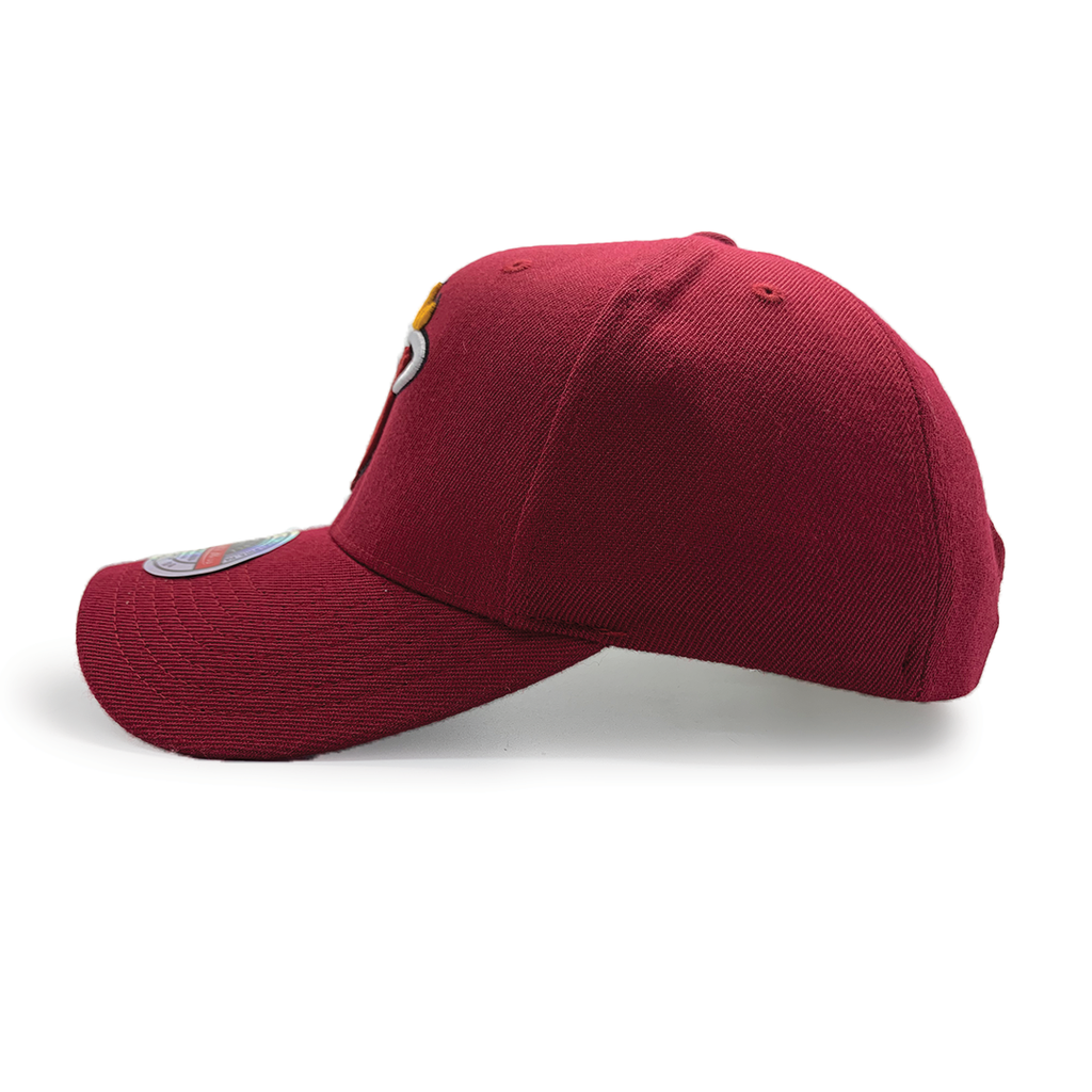 Mitchell & Ness Pro Crown Miami Heat Team Ground 2.0 NBA Cardinal Red OSFM MNMH3257_20182