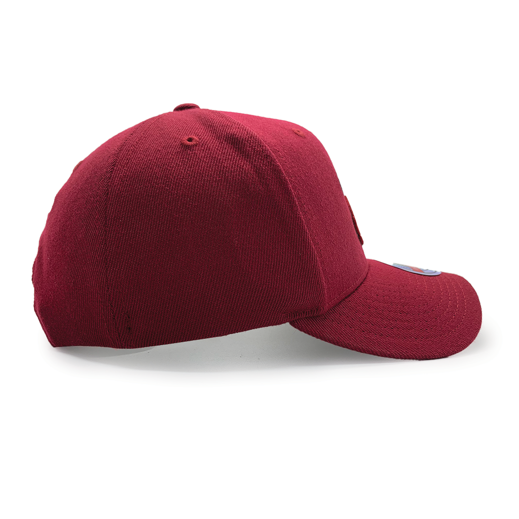Mitchell & Ness Pro Crown Miami Heat Team Ground 2.0 NBA Cardinal Red OSFM MNMH3257_20184