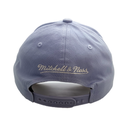 Mitchell & Ness Vancouver Grizzlies Pro Crown Seasonal Spring Sky Blue OSFM_20210