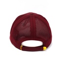 New Era Brisbane Lions 9Forty Official Onfield 2022 OSFM_20902