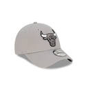 New Era Chicago Bulls 9Forty Moondust Grey OSFM_21098