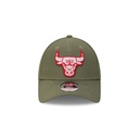 New Era Chicago Bulls 9Forty Olive/Grey OSFM_21107