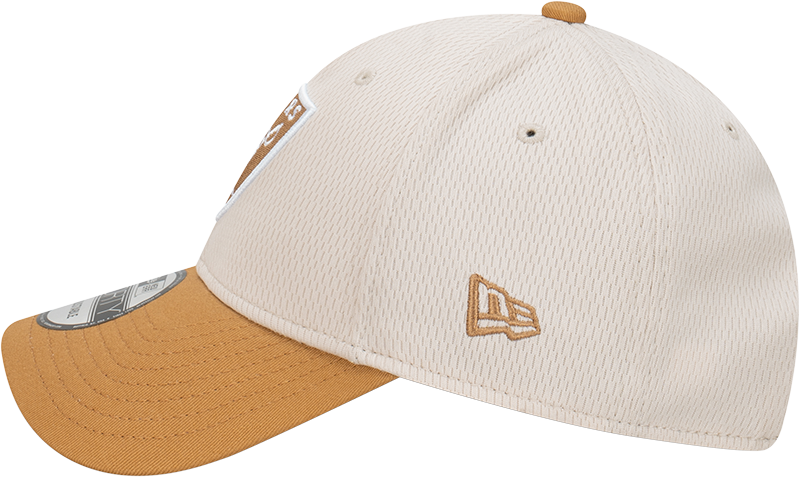 New Era - New Era Las Vegas Raiders 9Forty Dashmark 2-Tone Wheat OSFM