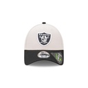 New Era Las Vegas Raiders 9Forty Repreve Stone OSFM_21601