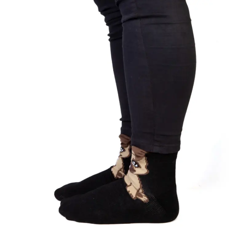 Feet Speak Pug Socks_2194