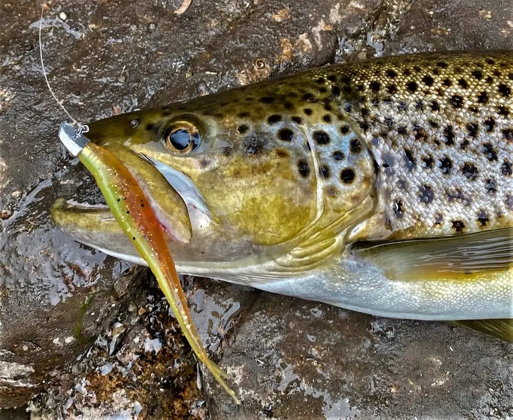 Macarthy Baits - Macarthy Baits Jerk Minnow | 7" | Atomic Mullet