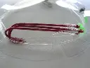 SureCatch Whiting Rig | Size 4_2354
