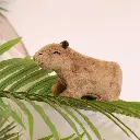 Mini Mates Capybara Medium Plush | Brown | 19cm_2760