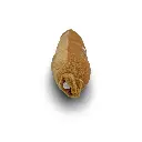 Mini Mates Sausage Medium Plush | Brown | 24cm_2926