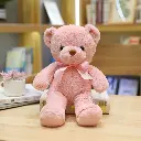 Mini Mates Teddy Bear Large Plush | 25cm_2953