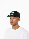 Mitchell & Ness Boston Celtics NBA Emblem MVP Black/Green OSFM MNBC3115_4605