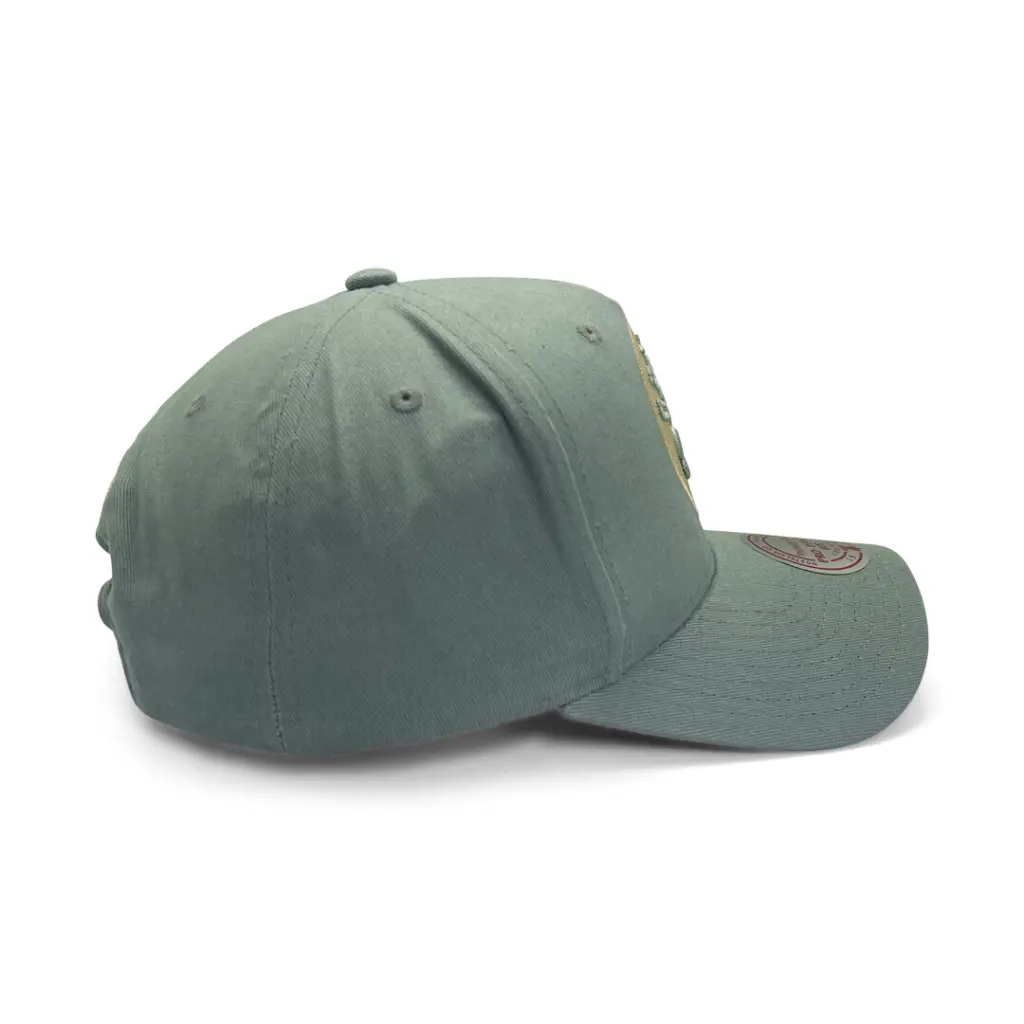 Mitchell & Ness Boston Celtics Pro-Crown Seasonal Core Green OSFM_4611