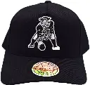 Mitchell & Ness CK072 New England Patriots Pinch Panel 110 Snapback OS_4620