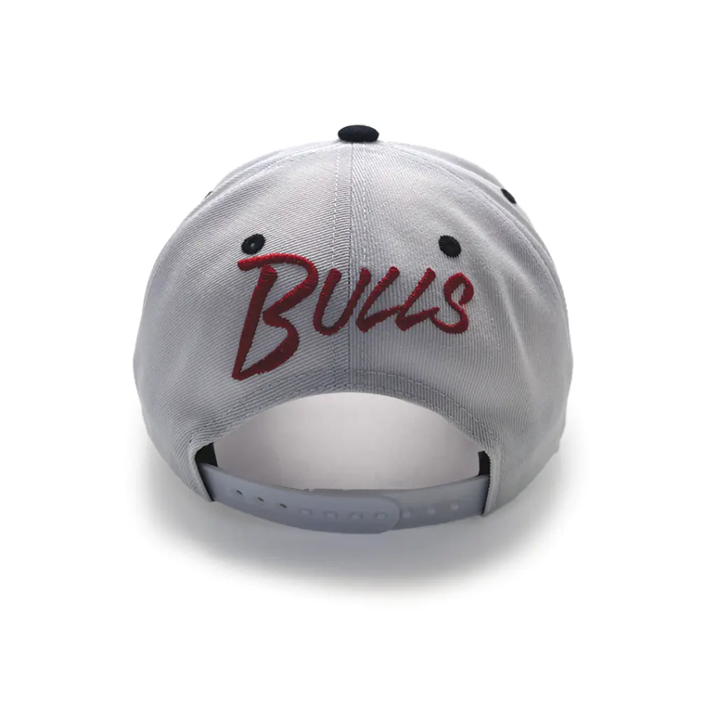 Mitchell & Ness - Mitchell & Ness Chicago Bulls NBA Classic Red Blaze Script White/Black OSFM MNCG2098