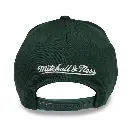Mitchell & Ness - Mitchell & Ness Chicago Bulls NBA Clear Field P Panel Dark Green OSFM MNCG20048