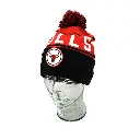 Mitchell & Ness - Mitchell & Ness Chicago Bulls NBA Team Pom Beanie Red OSFM MNCG20244