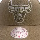 Mitchell & Ness Chicago Bulls Pro Crown Seasonal Spring Khaki OSFM_4859