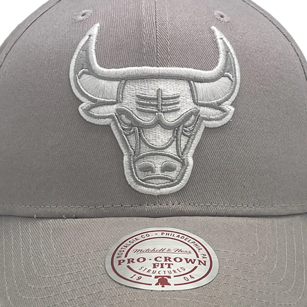 Mitchell & Ness - Mitchell & Ness Chicago Bulls Pro Crown Seasonal Spring Sterling OSFM