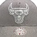 Mitchell & Ness - Mitchell & Ness Chicago Bulls Pro Crown Seasonal Spring Sterling OSFM