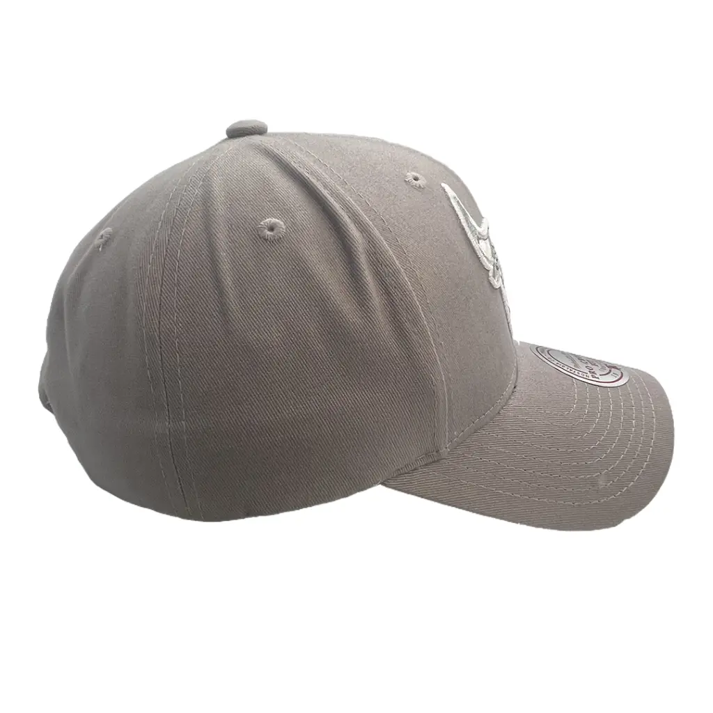 Mitchell & Ness Chicago Bulls Pro Crown Seasonal Spring Sterling OSFM_4872