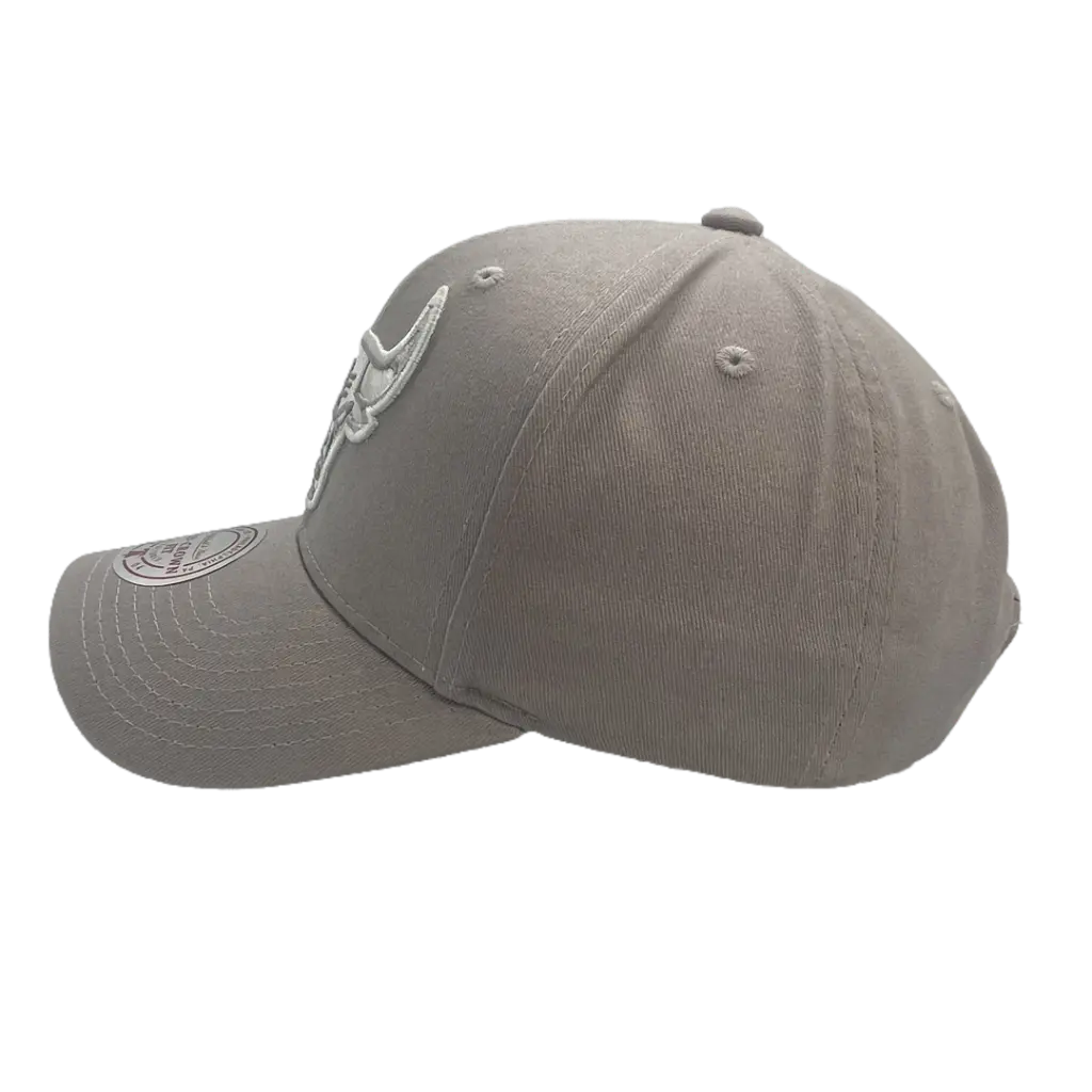 Mitchell & Ness - Mitchell & Ness Chicago Bulls Pro Crown Seasonal Spring Sterling OSFM