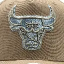 Mitchell & Ness - Mitchell & Ness Chicago Bulls Pro-Crown Seasonal Core Khaki OSFM