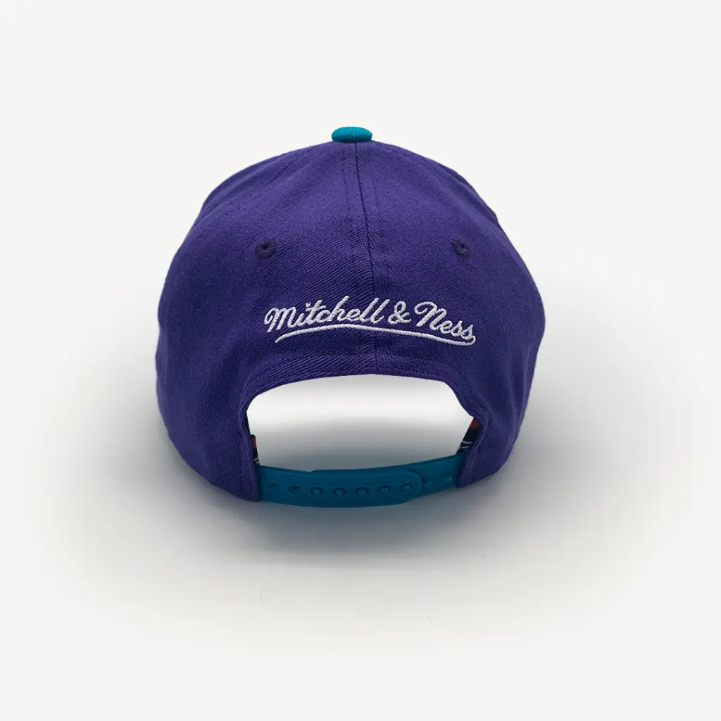 Mitchell & Ness - Mitchell & Ness Classic Red Charlotte Hornets Headline Arch NBA Purple/Teal OSFM MNCH22351