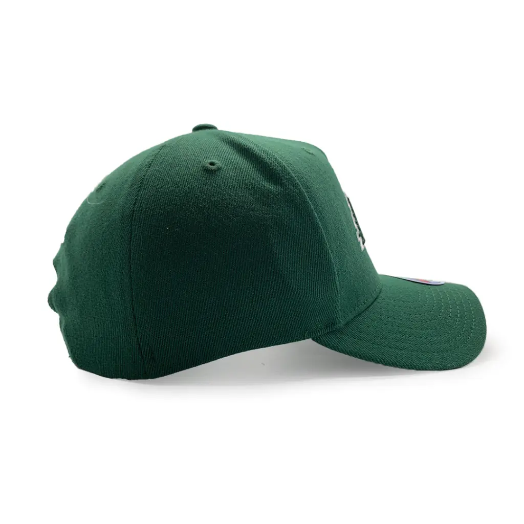 Mitchell & Ness Classic Red Los Angeles Lakers State Of Mind NBA Malachite Green OSFM MNLL22011_5135