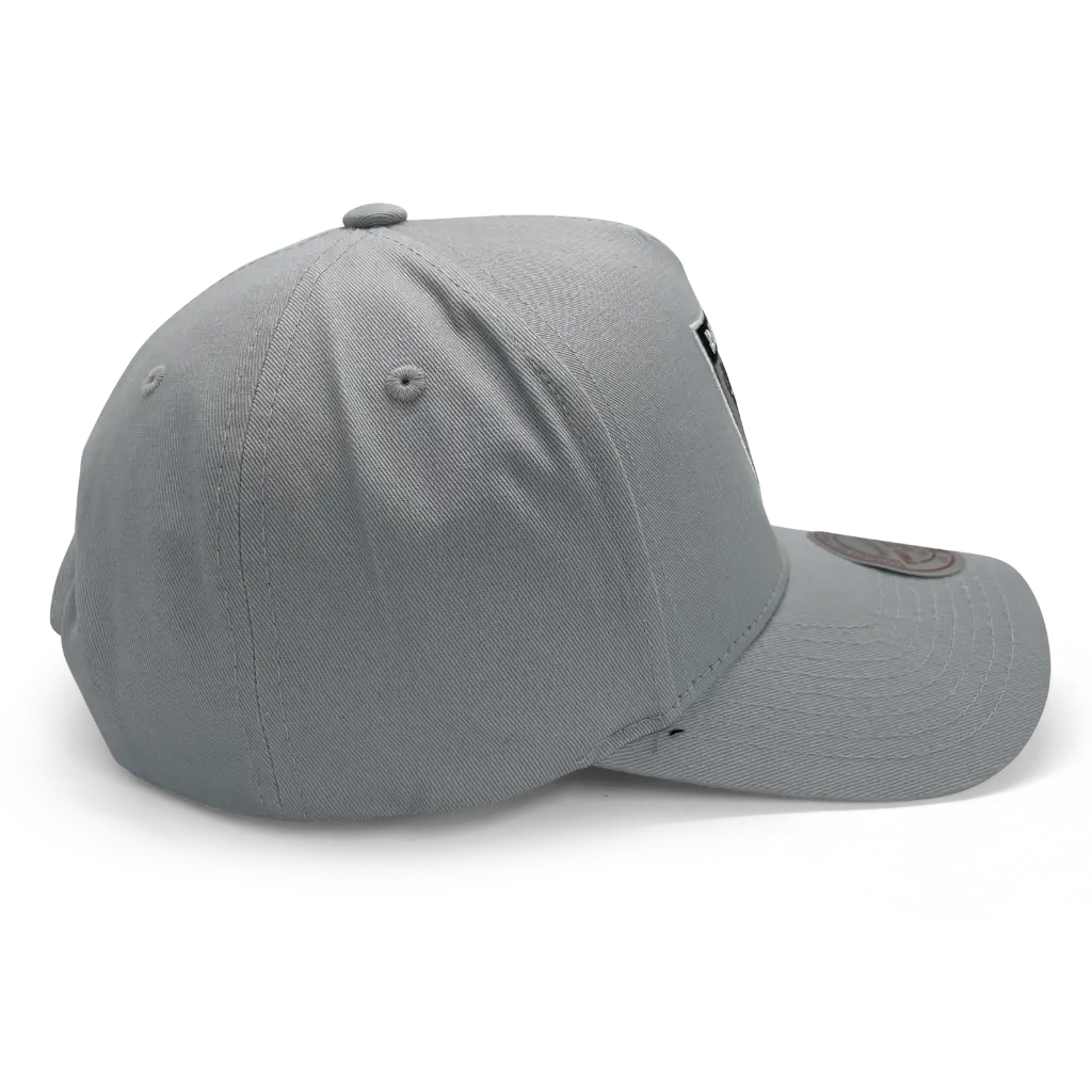 Mitchell & Ness Las Vegas Raiders Pro Crown Pinch Core Grey OSFM_5506