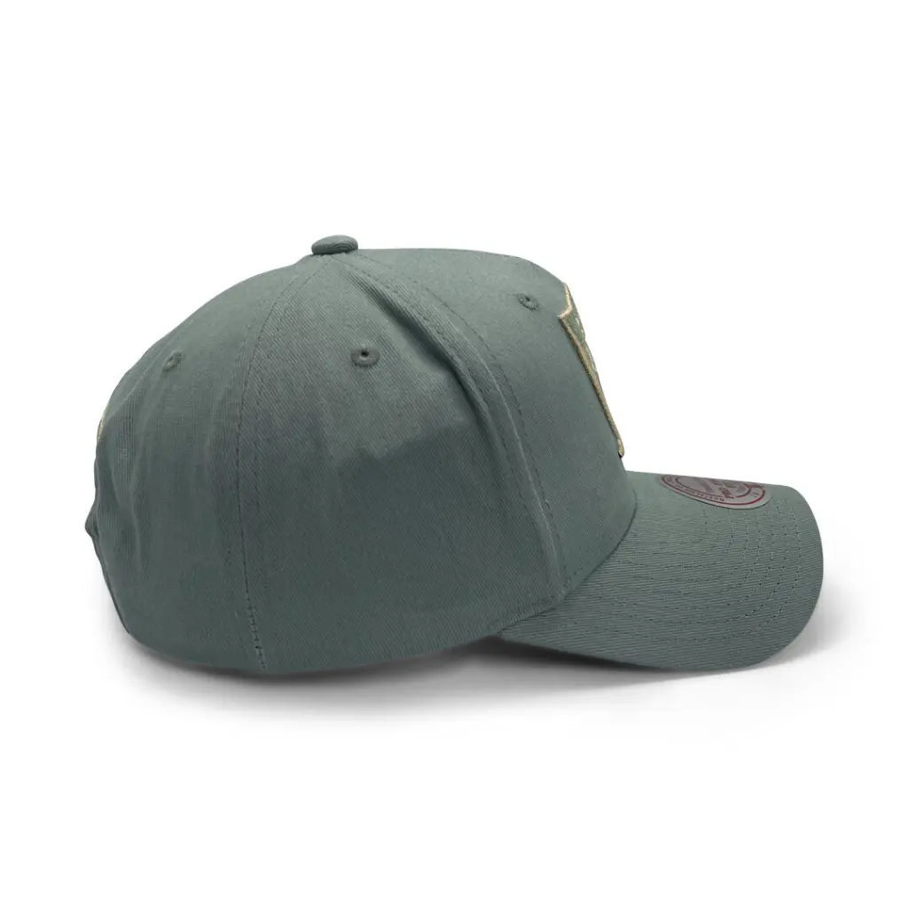 Mitchell & Ness Las Vegas Raiders Pro-Crown Seasonal Core Green OSFM_5518