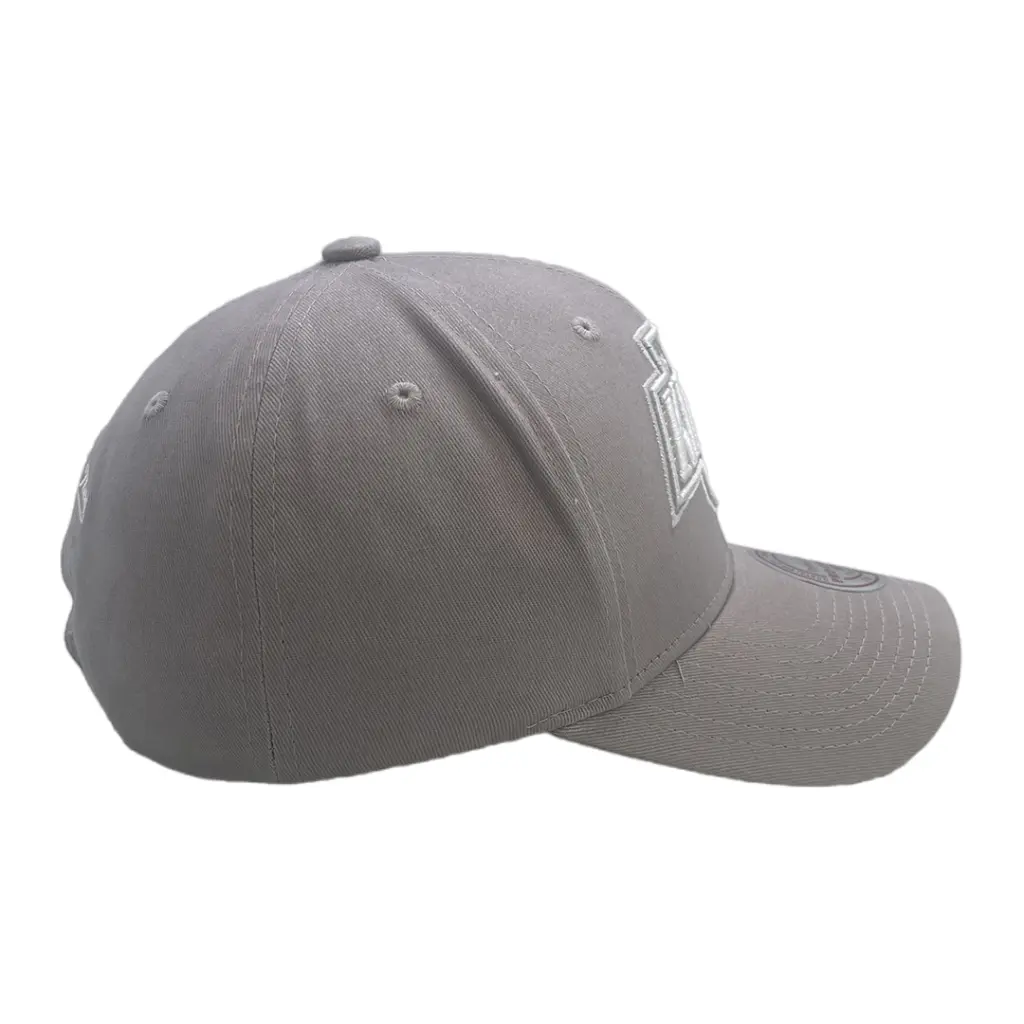 Mitchell & Ness Los Angeles Kings Pro Crown Seasonal Spring Sterling OSFM_5543