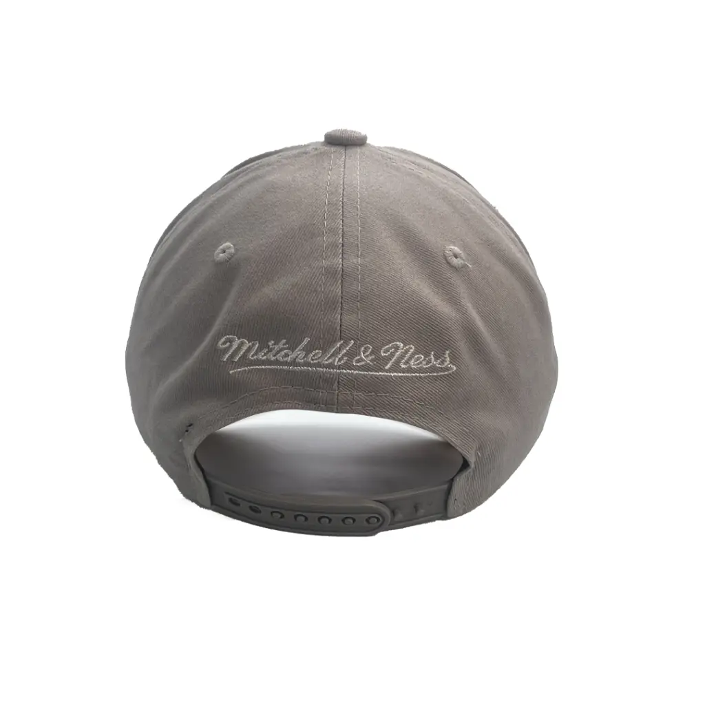 Mitchell & Ness - Mitchell & Ness Los Angeles Kings Pro Crown Seasonal Spring Sterling OSFM