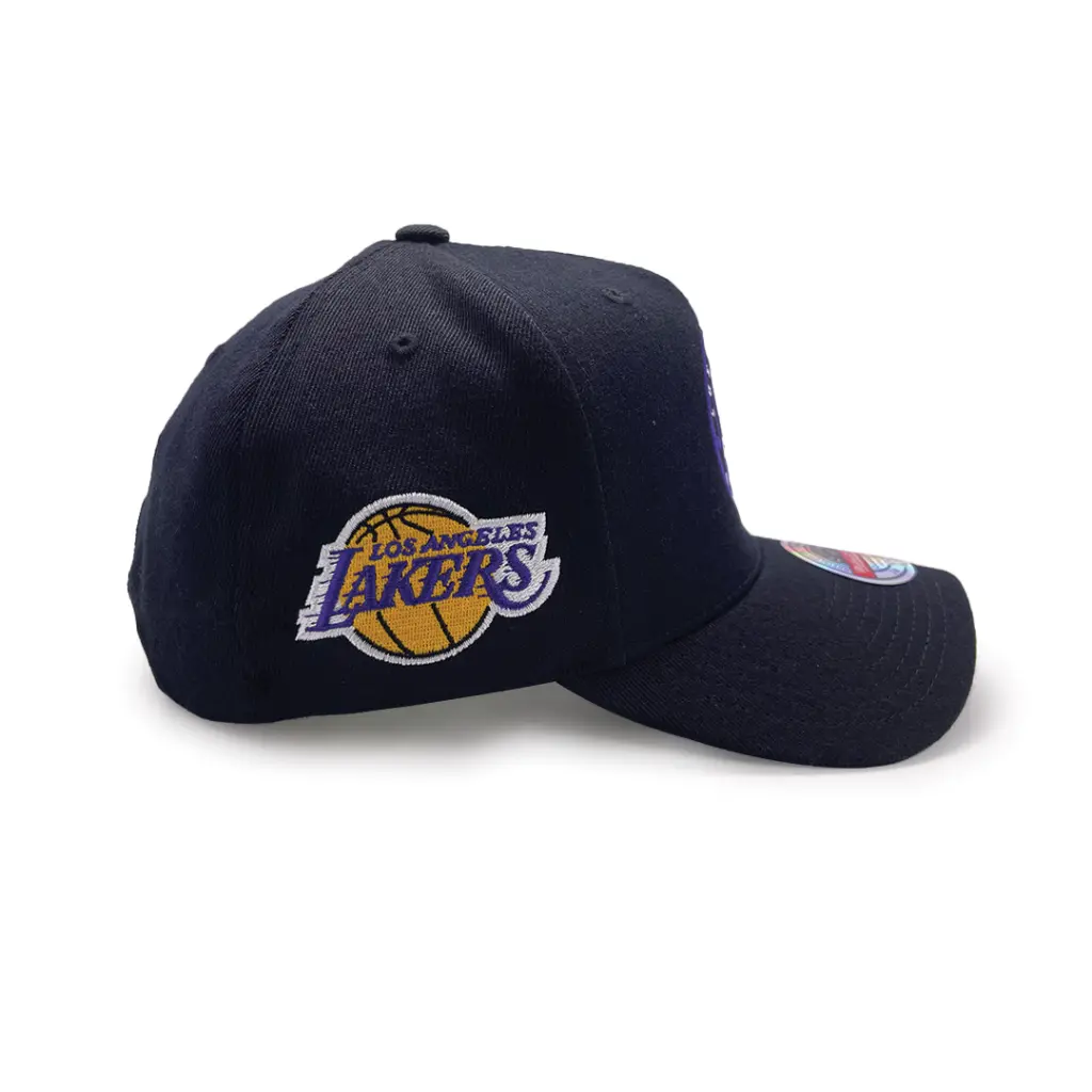 Mitchell & Ness Los Angeles Lakers NBA Circle Patch Black OSFM MNLL23147A_5587
