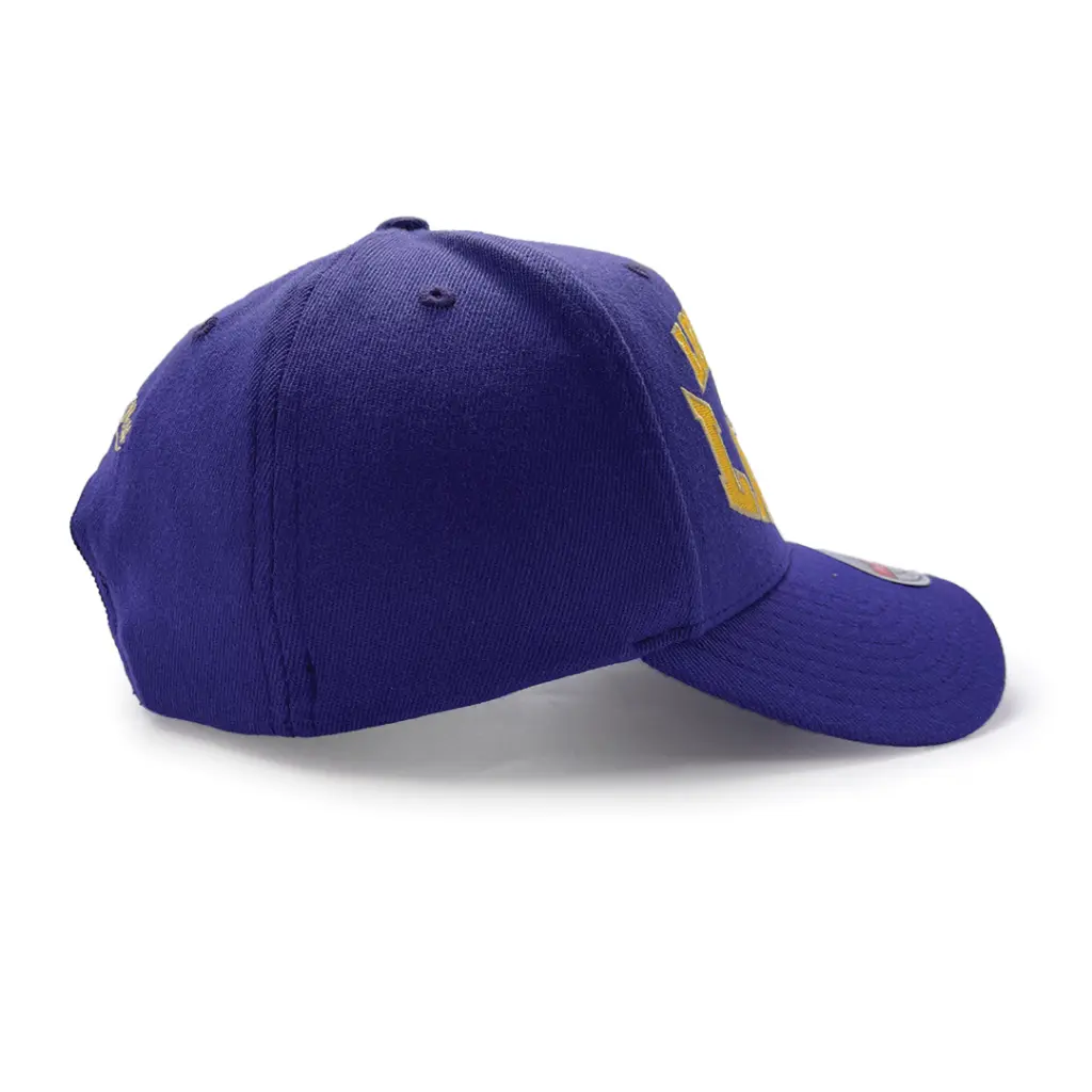 Mitchell & Ness Los Angeles Lakers NBA Classic Red Lay Up Purple OSFM MNLL2094_5594