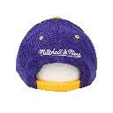 Mitchell & Ness - Mitchell & Ness Los Angeles Lakers NBA On Top Pinch Purple OSFM MNLL21108