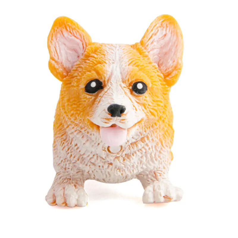 Stretchy Corgi_878