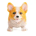 Stretchy Corgi_878