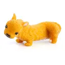 Stretchy French Bulldog_882