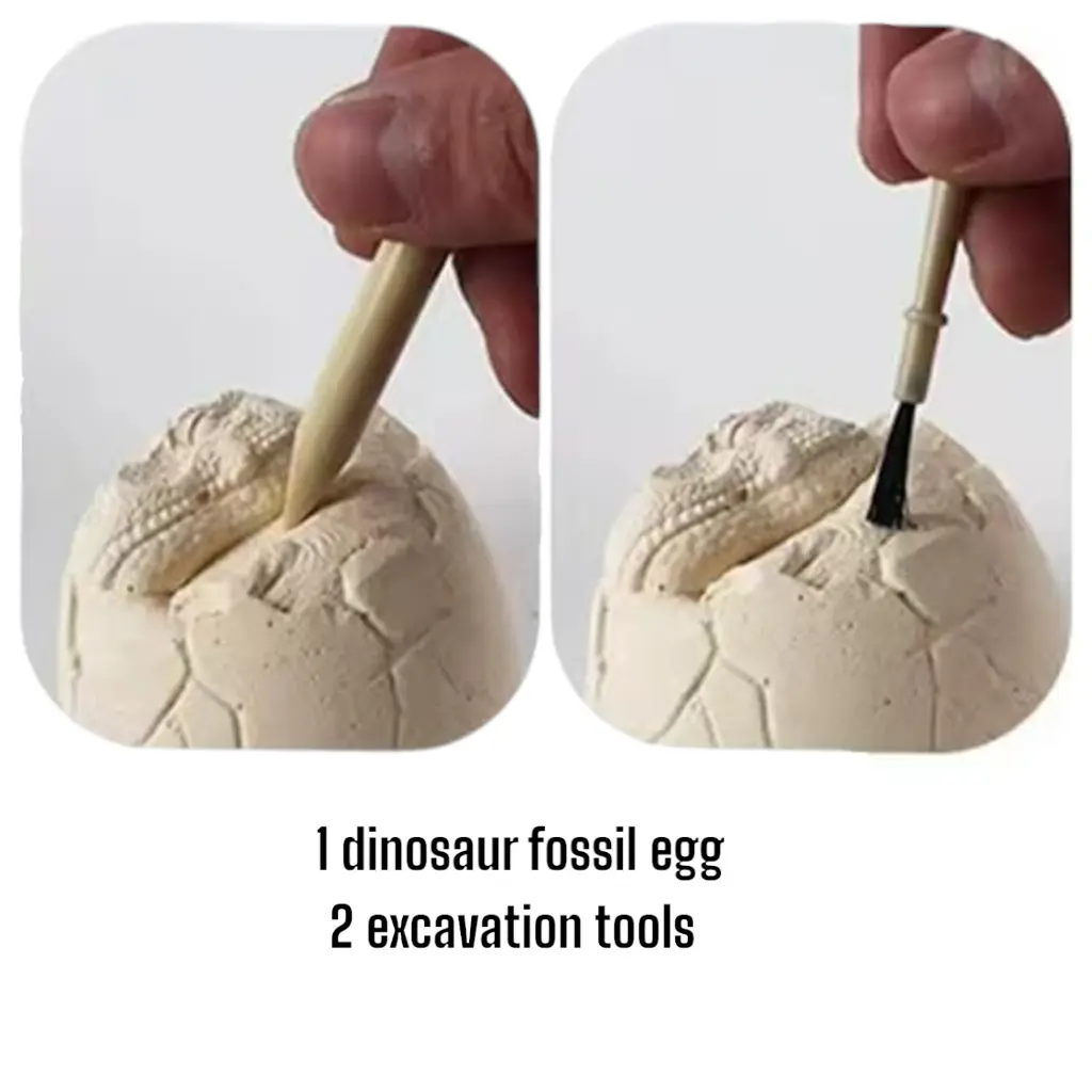 What You Need - Dinosaur Egg Digging Fossil