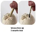 Dinosaur Egg Digging Fossil_91