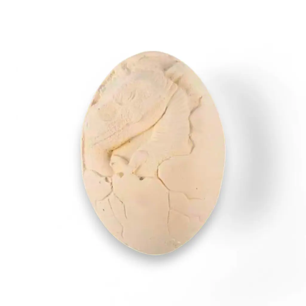 Dinosaur Egg Digging Fossil_93