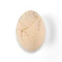 Dinosaur Egg Digging Fossil_93